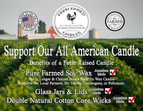 Citrus Breeze 3 Pk Wax Melts - 100% All American Made - Farm Raised Candles - Natural Paraffin Dye Free - Pet Safe Wax Warmer Melts in Saudi Arabia