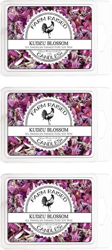 Citrus Breeze 3 Pk Wax Melts - 100% All American Made - Farm Raised Candles - Natural Paraffin Dye Free - Pet Safe Wax Warmer Melts in Saudi Arabia