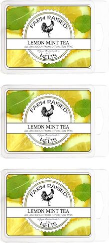 Citrus Breeze 3 Pk Wax Melts - 100% All American Made - Farm Raised Candles - Natural Paraffin Dye Free - Pet Safe Wax Warmer Melts in Saudi Arabia