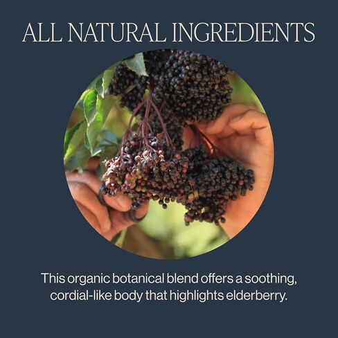 Rishi Tea Elderberry Healer Herbal Tea | USDA Organic Direct Trade Sachet Tea Bags, Certified Kosher, Caffeine Free Elderberry with Ginger Root, Hibiscus Flowers, & Licorice Root | 15 Count (Pack of 6) in Saudi Arabia