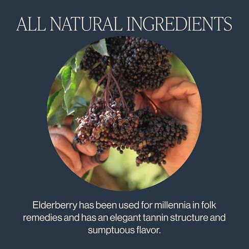 Rishi Tea Elderberry Healer Herbal Tea | USDA Organic Direct Trade Sachet Tea Bags, Certified Kosher, Caffeine Free Elderberry with Ginger Root, Hibiscus Flowers, & Licorice Root | 15 Count (Pack of 6) in Kuwait