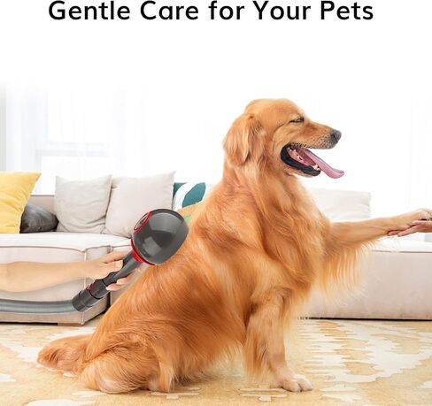 مجموعة أدوات العناية بالحيوانات الأليفة من أجل دايسون - أداة تهذيب شعر الحيوانات الأليفة وفرشاة تساقط الشعر وخرطوم تمديد للمكنسة الكهربائية Dyson GEN5 G5 V15 V12 V11 V10 V8 V7 in Kuwait