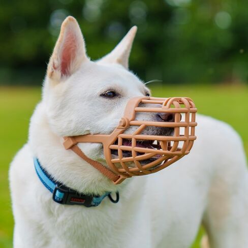 Baskerville Classic Basket Muzzle - Dog can Pant and Drink, Prevents Biting and Food Waste Scavenging, Strong TPR, Ideal for Longer Nosed Dogs, Breathable Dog Training Muzzle for Small Dogs (Size 2) in Saudi Arabia