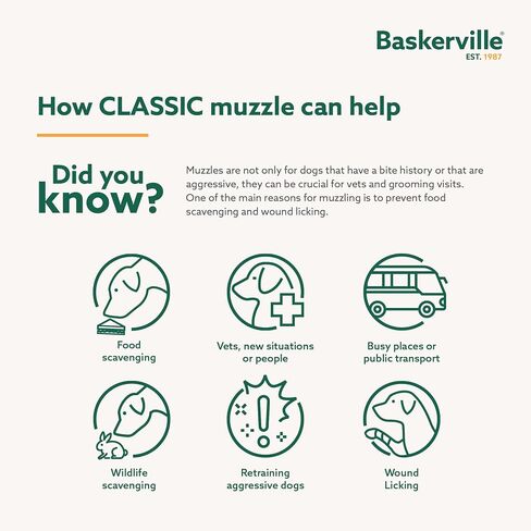 Baskerville Classic Basket Muzzle - Dog can Pant and Drink, Prevents Biting and Food Waste Scavenging, Strong TPR, Ideal for Longer Nosed Dogs, Breathable Dog Training Muzzle for Small Dogs (Size 2) in Saudi Arabia