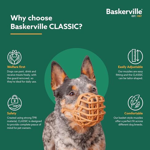 Baskerville Classic Basket Muzzle - Dog can Pant and Drink, Prevents Biting and Food Waste Scavenging, Strong TPR, Ideal for Longer Nosed Dogs, Breathable Dog Training Muzzle for Small Dogs (Size 2) in Saudi Arabia