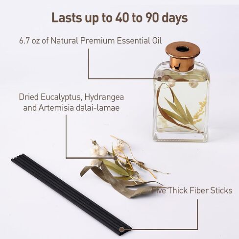 White Peach Oolong Tea Botanical Essential Oil Reed Diffuser Set/6.7oz/Fresh Bamboo, Eucalyptus/Decorative Air Freshener/Home, Office, Room Décor/Aromatherapy Gift/Scentsy Home Fragrance in Saudi Arabia
