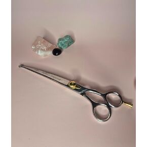Tamsco Genuine Japanese Stainless Steel Scissor 8.5-Inch Probe Tip with Finger Rest Semi-Convex Edge Japanese Stainless Steel Safety Tip Blade Gold Tension Screw in Saudi Arabia