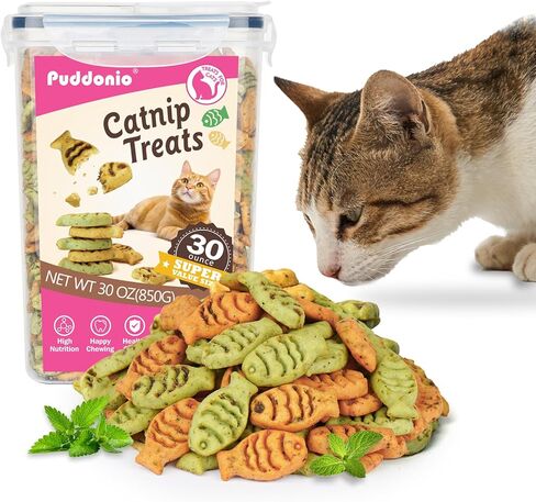 Catnip Cat Treats, Chicken & Salmon Flavor, Crunchy Bites, 16 oz in Kuwait