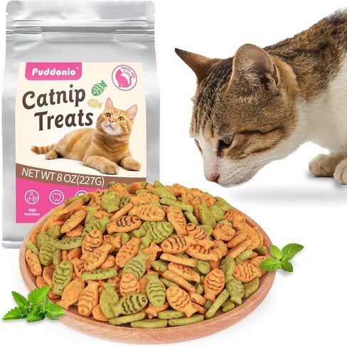 Catnip Cat يعالج ، وجبات قطة الدجاج وسمك السلمون ، وعلاجات البسكويت التدريبية للقطط ، والبسكويت الأسماك المقرمش على شكل البسكويت البالغ ، 30 أوقية in Saudi Arabia