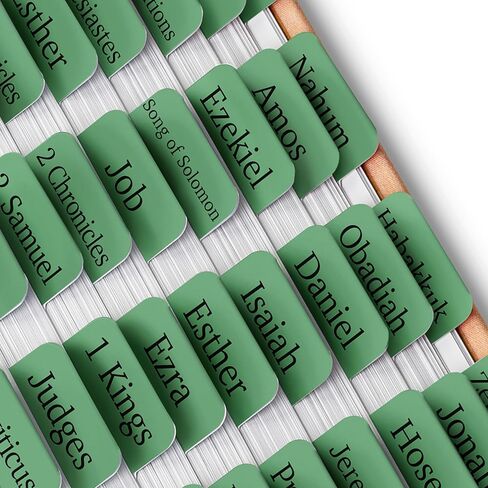 علامات تبويب Mr. Pen- الكتاب المقدس ، 75 علامات تبويب ، غابات خضراء ، علامات تبويب الكتاب المقدس للنساء والرجال ، علامات تبويب الكتاب المقدس للدراسة ، علامات تبويب مؤشر الكتاب المقدس ، علامات تبويب كتاب الكتاب المقدس ، علامات تبويب ملصقات الكتاب المقدس ،  in Saudi Arabia