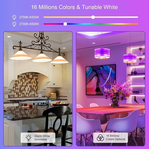 FRIDEKO HOME LED Smart Light Bulbs - Wi-Fi & Bluetooth Light Bulbs, Color Changing Light Bulb Compatible with Alexa and Google Assistant, A19 E26 RGBTW Light Bulb, 800LM (4 Pack) in Saudi Arabia