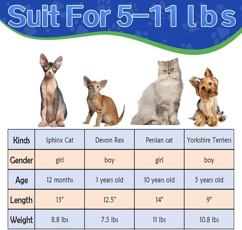 Cat Pouch Carrier Pet Supplies ، اللون الأزرق الأزرق M Cat Catpack الناعم على ظهر الظهر يدويًا ، حبال السفر الكلب ، حاملة كيس القطط مع جيب تخزين تسخير قابل للتعديل مناسب ل 5-11 رطل in Kuwait