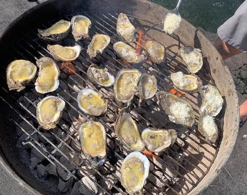 King Kooker 5500 Stainless Steel Oyster Opener, with Oyster Knife in Kuwait