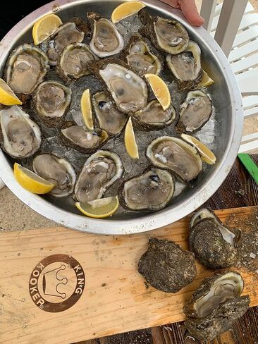 King Kooker 5500 Stainless Steel Oyster Opener, with Oyster Knife in Kuwait