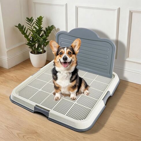 منصات جرو PAWISE / حامل منصات الكلب، حامل وسادة تبول، حامل وسادة جرو، صينية قعادة الكلب لتدريب الكلاب للكلاب الصغيرة والقطط 19.2 × 14 بوصة in Kuwait