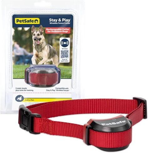 PetSafe Stubborn Dog Stay & Play Wireless Fence Collar in Saudi Arabia