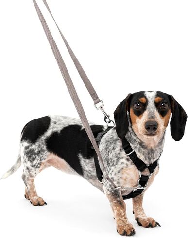 حزام PetSafe Sure-Fit للكلاب - مساعد تدريب - تصميم تكتيكي يمنع الضغط على الحلق - 2 إبزيم سريع التركيب لتسهيل الانزلاق والإيقاف - 5 نقاط تعديل تزيد من الراحة والملاءمة - أسود - M in Kuwait
