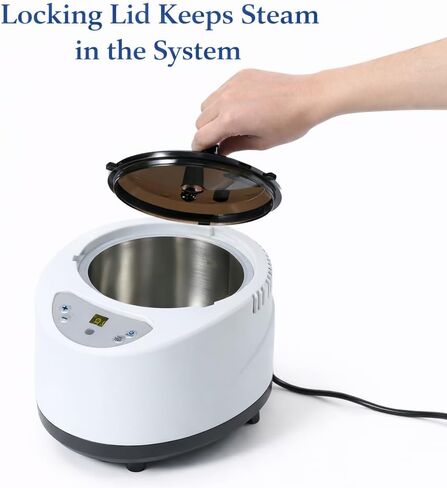 Wood Steamer for Bending Wood – 2L Electric Steam Generator for Steam Box, 1000W Remote-Controlled Steaming Unit for Chair Backs, Furniture Curves, Boat Ribs, DIY Woodworking Projects in Kuwait