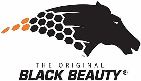 BLACK BEAUTY Abrasive Blast Media Fine Abrasive 20/40 Mesh Size for use in Sandblast Cabinet - 80 LBS in Kuwait