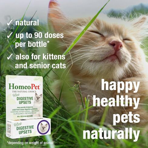 HomeoPet Feline Digestive Upsets, Supplement for Cats, 15 Milliliters in Saudi Arabia