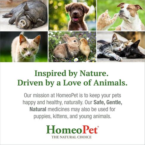 HomeoPet Feline Digestive Upsets, Supplement for Cats, 15 Milliliters in Saudi Arabia