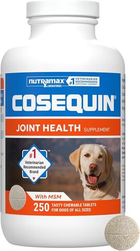 مختبرات Nutramax Cosequin الحد الأقصى للقوة الملحق صحة المفصل للكلاب - مع الجلوكوزامين ، الشوندروتن ، و MSM ، 250 أقراص قابلة للمضغ in Saudi Arabia