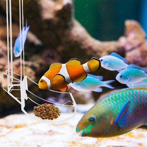 Fish Feeding Tube and Dish, Acrylic Fish Feeder Brine Shrimp Food Feeding for Fish Tank Aquarium Shrimp Accessory in Kuwait