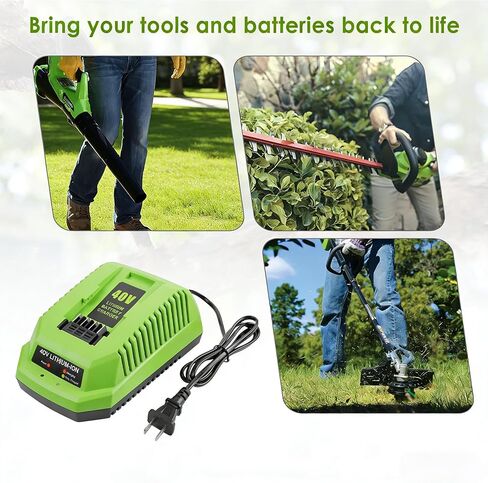 40V Charger Replacement for Greenworks 40V Battery Charger, Compatible with 40 Volt G-MAX Power Tools 29482 29252 20202 22262 29472 29462 (Not for 29662) in Kuwait