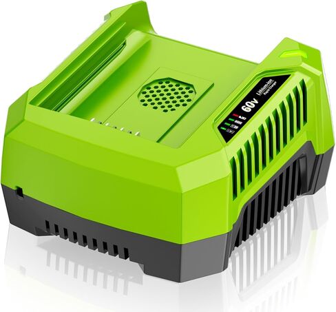 6.0A استبدال الشاحن السريع لشاحن بطارية Greenworks 60V CH60R00 2936902 60DPC10A CH60DP01 متوافق مع بطارية Pro Greenworks 60V LB602 B6025 LB604 LB6041 LB6042 LB6051 in Kuwait