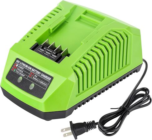 شاحن بطارية 40 فولت متوافق مع بطارية Greenworks 40V G MAX 29462 29472 29482 2939202 BAF704 شاحن سريع in Kuwait