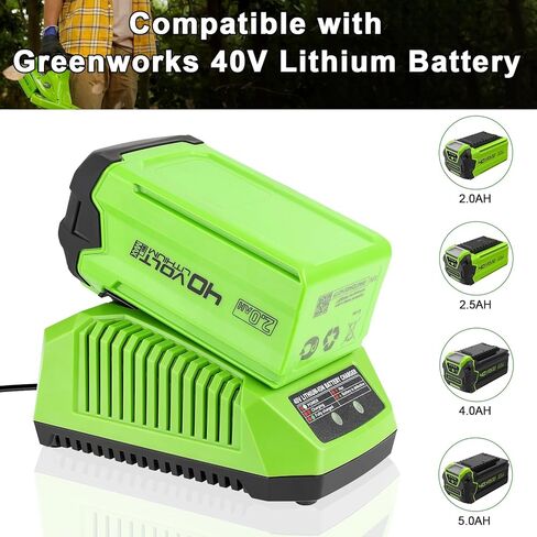 شاحن بطارية 40 فولت متوافق مع بطارية Greenworks 40V G MAX 29462 29472 29482 2939202 BAF704 شاحن سريع in Kuwait