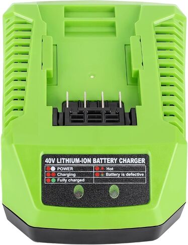 شاحن بطارية 40 فولت متوافق مع بطارية Greenworks 40V G MAX 29462 29472 29482 2939202 BAF704 شاحن سريع in Kuwait