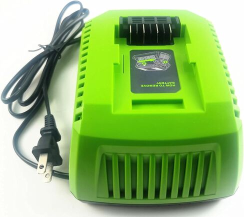 40V Replacement Greenworks 29482 Battery Charger, Compatible with Greenworks 40V Battery 29472 29482 29462 2901319 BAF702 L-300 BAF704 BAF705, Replace Charger 29482 C-220 in Kuwait