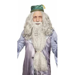 HandinHandCreations Wizard Wig and Long Beard with Wizard Sorcerer Costume Hat - All Included in Saudi Arabia