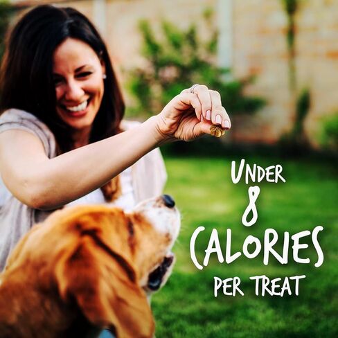 Treats Congy Mini Dog Skinny - علاجات صحية للكلاب - تدريبات السعرات الحرارية المنخفضة - خالية من القمح والذرة وفول الصويا - بيكون التفاح - 12 أوقية (6 عبوات) in Kuwait