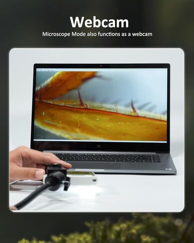 كاميرا رقمية MicroCam X1 4K مع مجهر 400X، لقطات حقيقية بدقة 4K، تركيز تلقائي، شاشة لمس LCD مقاس 3.5 بوصة | كاميرا مدمجة للتصوير الفوتوغرافي | هدايا مثالية للنساء والأطفال | 64 جيجابايت in Kuwait