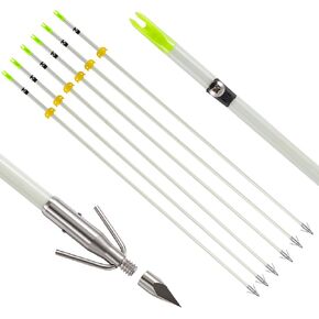 6 Pack 32 inch Bowfishing Arrows with Broadheads and Safty Slides Bow Fishing Arrow Luminous for Compound Bow Recurve Bow Fishing Hunting in Saudi Arabia