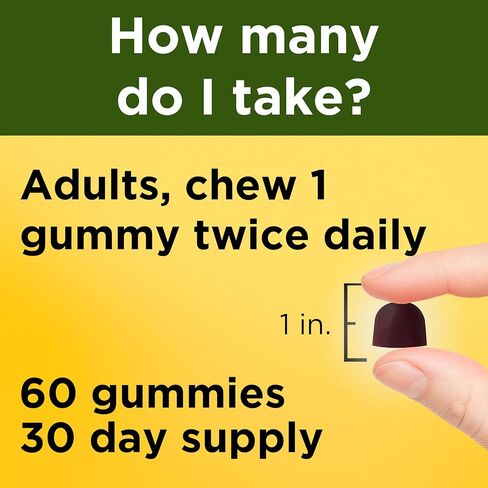 Nature Made Ashwagandha Gummies, Vegan, KSM 66 Ashwagandha for Stress Support, 60 Count, 30 Day Supply in Saudi Arabia