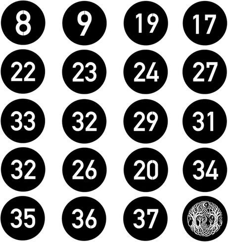 20Pcs Round Gobos Kit for Optical Snoot,66mm/2.6in Metal Plate Patterns Compatible with Godox BFP/BP-SE/OT1/OT1 Pro/Westcott,Custom Gobos Number Series for Birthday Shot/Tiktok etc in Kuwait