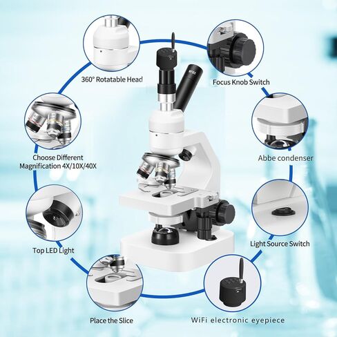 Microscope 40x-2000 مرة التكبير ، مصابيح LED العلوية والسفلية ، مرحلة الطبقة المزدوجة ، طلاب المدارس الأولية والثانوية ، المجهر المركب للأطفال (العدسة الإلكترونية WiFi) in Saudi Arabia