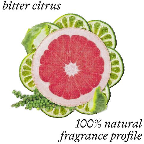 Organic Bébé Butter Lip Balm, Smoothing & Nourishing, Botanical Oils & Beeswax, 0.8 oz in Kuwait