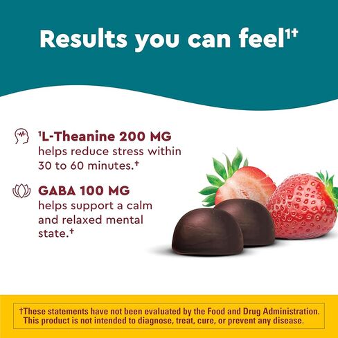 Nature Made Wellblends Stress Relief Gummies, L theanine 200mg to Help Reduce Stress, with GABA 100mg, Same Day Stress Support, 40 Strawberry Flavor Gummies in Kuwait