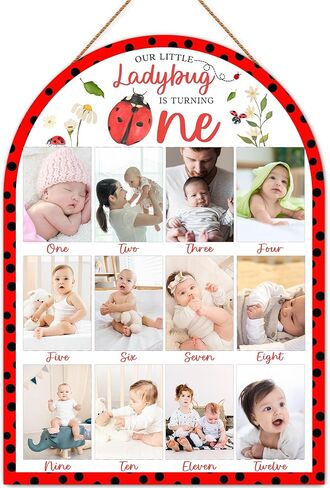 Ladybug My First Year Photo Board, Our Little Ladybug is Turning One Decoration Photo Frame, 12 Monthly Baby Milestone Sign, Gender Neutral Nursery Decor for Girl Boy, Baby Keepsake Gifts-A19 in Kuwait