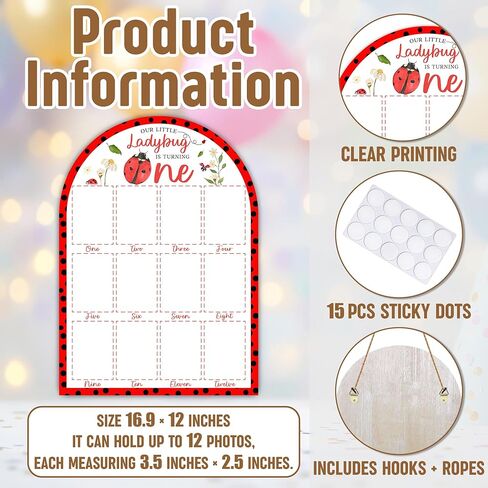 Ladybug My First Year Photo Board, Our Little Ladybug is Turning One Decoration Photo Frame, 12 Monthly Baby Milestone Sign, Gender Neutral Nursery Decor for Girl Boy, Baby Keepsake Gifts-A19 in Kuwait