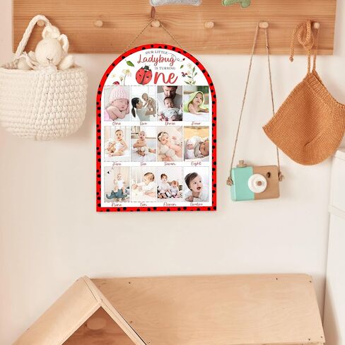 Ladybug My First Year Photo Board, Our Little Ladybug is Turning One Decoration Photo Frame, 12 Monthly Baby Milestone Sign, Gender Neutral Nursery Decor for Girl Boy, Baby Keepsake Gifts-A19 in Kuwait