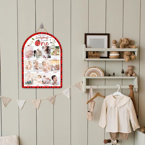 Ladybug My First Year Photo Board, Our Little Ladybug is Turning One Decoration Photo Frame, 12 Monthly Baby Milestone Sign, Gender Neutral Nursery Decor for Girl Boy, Baby Keepsake Gifts-A19 in Kuwait