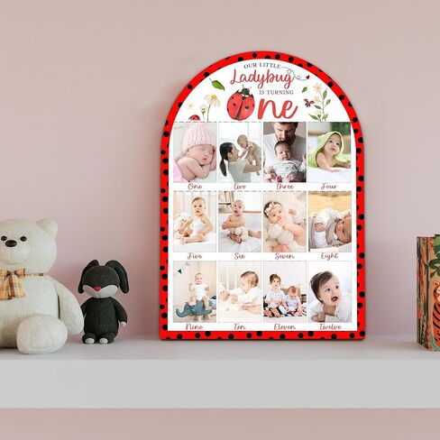 Ladybug My First Year Photo Board, Our Little Ladybug is Turning One Decoration Photo Frame, 12 Monthly Baby Milestone Sign, Gender Neutral Nursery Decor for Girl Boy, Baby Keepsake Gifts-A19 in Kuwait