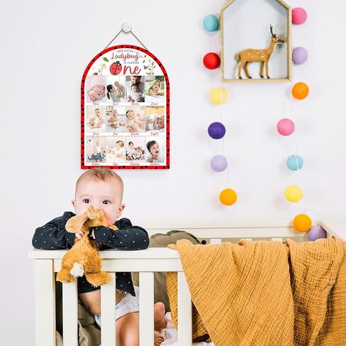 Ladybug My First Year Photo Board, Our Little Ladybug is Turning One Decoration Photo Frame, 12 Monthly Baby Milestone Sign, Gender Neutral Nursery Decor for Girl Boy, Baby Keepsake Gifts-A19 in Kuwait