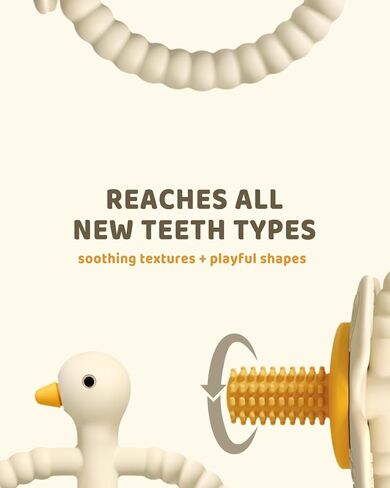 ChooKaChoo Baby Teether Toy and Training Toothbrush, Duck Silicone Teething Toys for Babies 3-12 Months, Double Ring Easy-Grip Design, Food-Grade BPA Free, Multi-Texture Relief for Gums & Molars in Kuwait