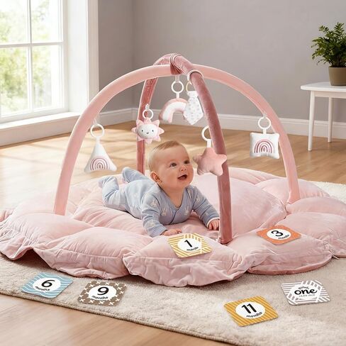 5-in-1 Thick & Plush Baby Play Gym, Baby Play Mats for Floor, Tummy Time Mat with 6 Toys, Convertible Stage-Based Developmental from Babies to Toddlers, Ball Pit, Pet Cushion Cloudico, Grey in Saudi Arabia